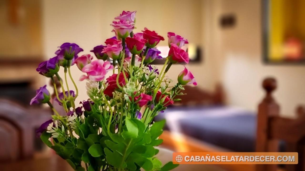 Cabanas El Atardecer San José 외부 사진